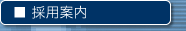 �̗p�ē�